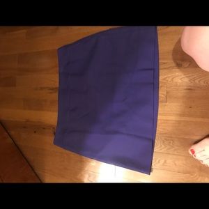 J crew size 10 purple skirt